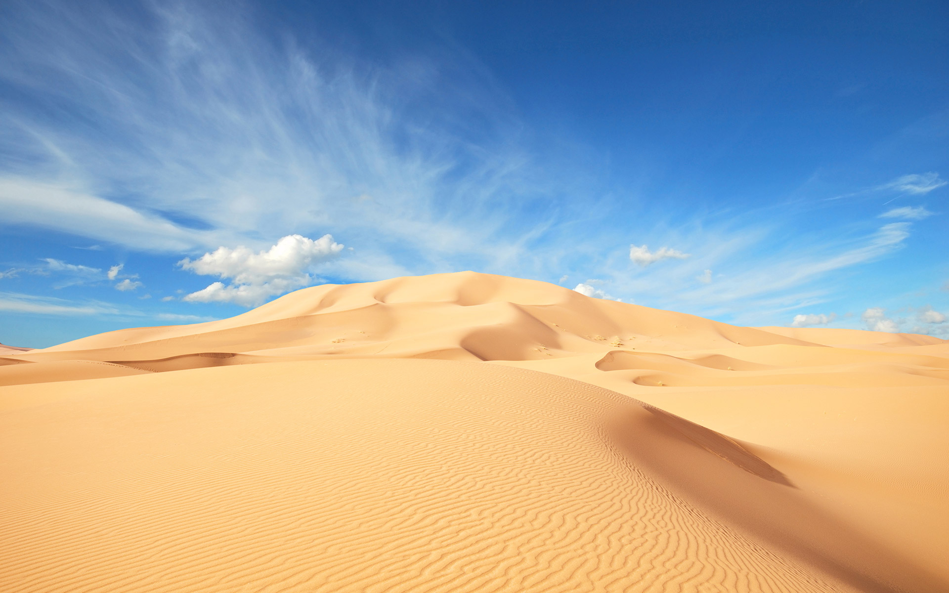 最好的时代 https://www.wanmei.fit/wp-content/uploads/2021/02/IMG_1010.jpg